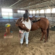 S and horse therapy