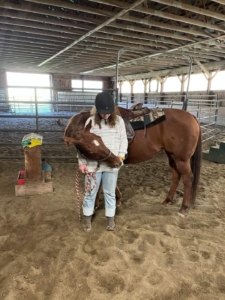 S and horse therapy